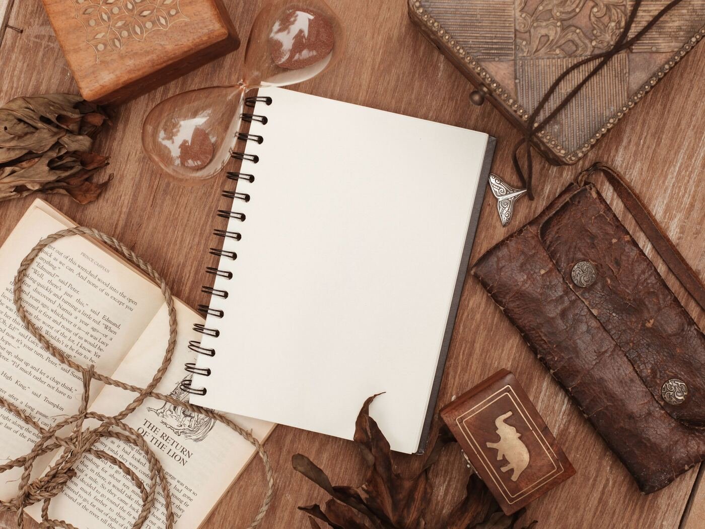 An open notebook surrounded by warm, natural objects